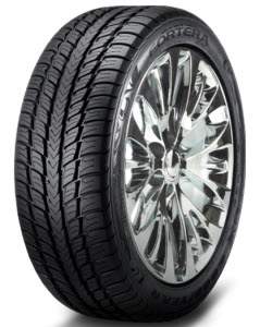 Goodyear Fortera SL Tire Review